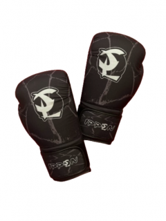BOXERSKÉ RUKAVICE IPPON FABRIC Farba: Černá, Veľkosť: 12oz