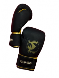 BOXERSKÉ RUKAVICE IPPON THAI GOLD Farba: Černá, Veľkosť: 14oz