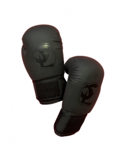 BOXERSKÉ RUKAVICE IPPON TRAINING BLACK Farba: Černá, Veľkosť: 10oz