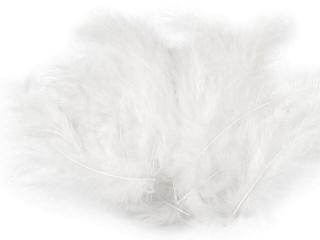 Pštrosie perie farbené - biela