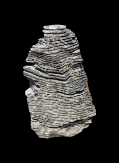 Mramor PYRAMIDA ZEBRA ART M95 solitérny kameň