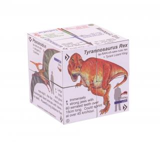 Didaktická kniha v kostce - Dinosauři