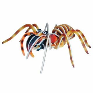 Dřevěné 3D puzzle dřevěná skládačka hmyz - Tarantule EC017