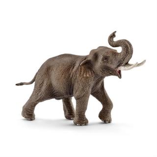 Schleich - Zvířátko - asijský slon samec