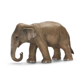 Zvířátka Schleich - samice slona asijského