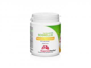 Boswellia Phytosome® - Boswellin s vysokou absorpciou 90 kapsúl