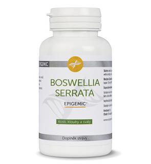 Boswellia Serrata Epigemic® 90 kapslí