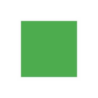 Farebný kartón 160 g/m2, A3, Stredne zelená (Stredne zelená)