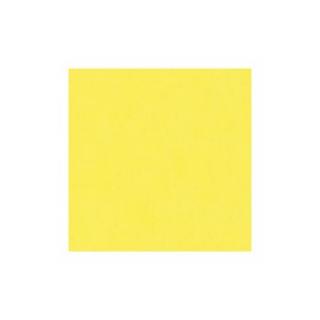 Fotokartón A4, 300g, svetlo žltá (Svetlo žltá)