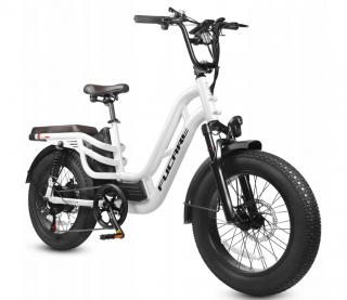 Elektrobicykel FUCARE-Libra Pro-1000W 20AH 20" (Elektrobicykel FUCARE Libra Pro Electric Bike 20AH LG batéria biela)