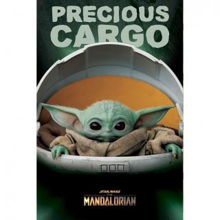 Star Wars: Mandalorian - Plagát - Precious Cargo