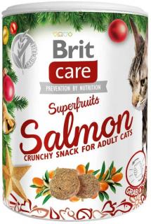 Brit Care Cat Christmas Superfruits, 100 g