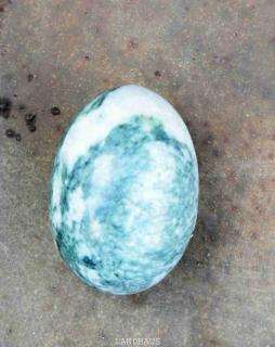 Kamenné vajíčko, žilkované