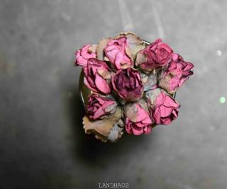 Papírové mini růže, fialové