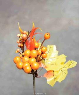 Podzimní zápich s plody