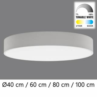 ACB Isia 60 LED WHITE P345363BTWRC (TunableW Remote C) (Moderné španielske stropné LED svietidlo ACB Isia.)