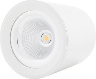 Biele prisadené stropné LED svietidlo 30W (MZ-DL-30W/BI)