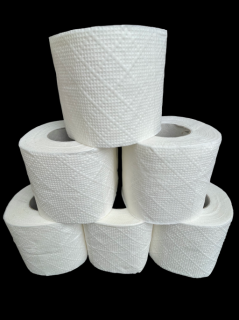 Toaletný papier PT 20, 2-vr, CEL, 64 ks; nelepený, 20 m ( PAP1130061K )