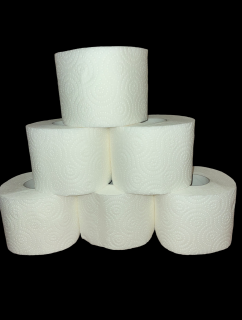 Toaletný papier PT 20, 2-vr, CEL, 64 ks (praktik 8x8ks); 20 m ( PAP1130191K )