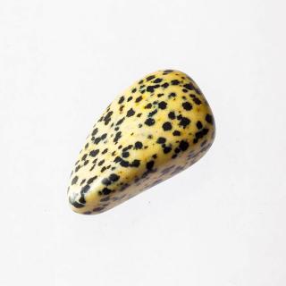 Jaspis dalmatín kameň kusový Balenie: 1 kus