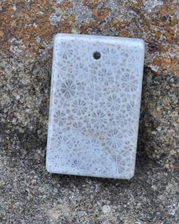 Fosilný koral vŕtaný kameň 7g (30 x 19 x 5 mm)