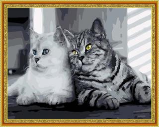Diamantové maľovanie - Dve mačky  Vrátane predtlačeného ozdobného rámu