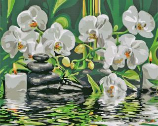 Diamantové maľovanie - Kamienky a biele orchidey