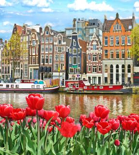 Diamantové maľovanie - Tulipány v Amsterdame