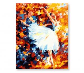 Maľovanie podľa čísel - Baletka vo víre tanca