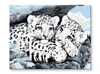 Maľovanie podľa čísel - Biele tigre
