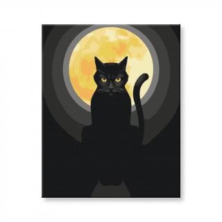 Maľovanie podľa čísel - Čierna mačka