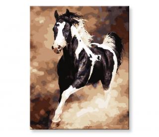 Maľovanie podľa čísel - Čiernobiely kôň