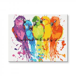 Maľovanie podľa čísel - Farebné papagáje
