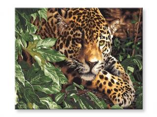 Maľovanie podľa čísel - Gepard