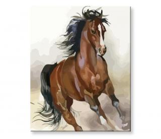 Maľovanie podľa čísel - Kôň na úteku