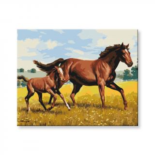 Maľovanie podľa čísel - Kôň s žriebäťom