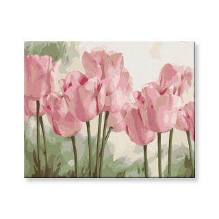 Maľovanie podľa čísel - Kvety tulipánov
