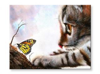 Maľovanie podľa čísel - Mačka s motýľom
