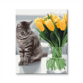 Maľovanie podľa čísel - Mačka s tulipánmi