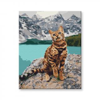 Maľovanie podľa čísel - Mačka v horách