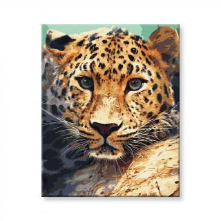 Maľovanie podľa čísel - Portrét leoparda