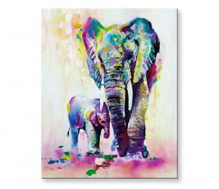 Maľovanie podľa čísel - Slon a slon