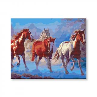 Maľovanie podľa čísel - Stádo koní v horách