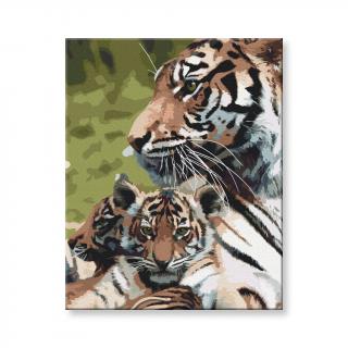Maľovanie podľa čísel - Tigre