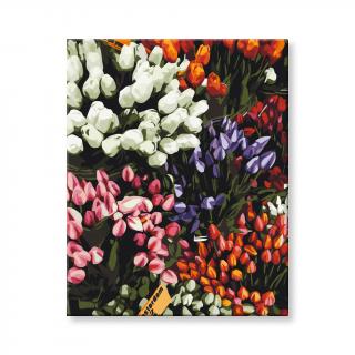Maľovanie podľa čísel - Tulipánové kvety