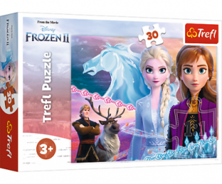 Puzzle 30 Frozen 2