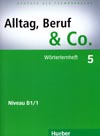 Alltag, Beruf, Co. 5 - nemecký slovníček B1/1 k učebnici