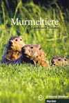 Murmeltiere – čítanie v nemčine B1