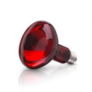 Infračervená žiarovka 100W (Infračervené žiarovky)