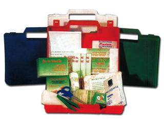 Sada prvej pomoci - rodinná lekárnička (Obklady, náplaste, spreje)